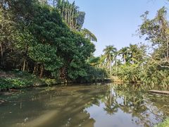 -中国科学院西双版纳热带植物园