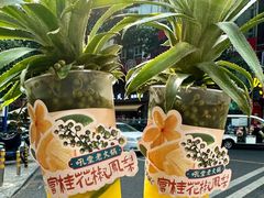 -吼堂老火锅(太古里总店)