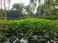 -京门活鱼馆·鱼火锅(百子湾（原红庙）店)