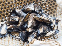 -上海雅居乐万豪侯爵酒店