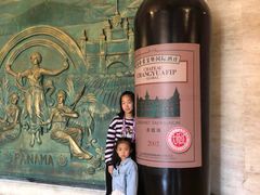 -北京张裕爱斐堡酒庄
