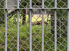 -上方山森林动物世界