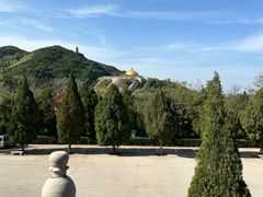 -龙口南山旅游景区