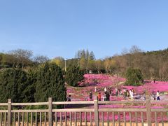 -棒棰岛宾馆景区