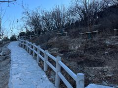 -北京西山国家森林公园