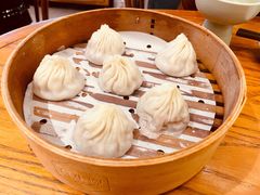 鲜肉小笼-苏小柳手工点心(人民广场分院)