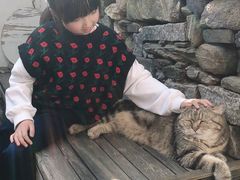 -喵屿·大理花园猫咖