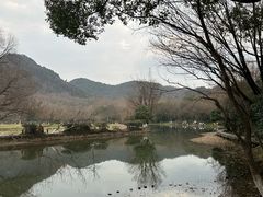 -八卦田遗址公园