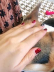 -素兮自助美甲美睫