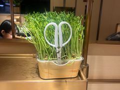 -海底捞火锅(吴中路店)