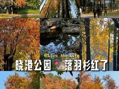 -晓港公园