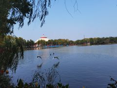 -上海野生动物园
