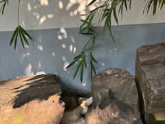 -龙华寺