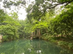 -龙坞茶村