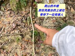 -火炉山森林公园