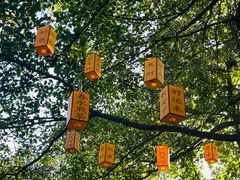 -广州市白云山风景名胜区