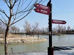 -盐城丹顶鹤湿地生态旅游区