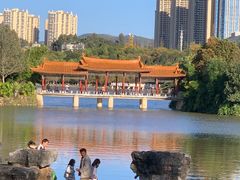 -洛龙公园
