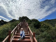 -大岭沟猕猴桃谷风景区