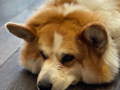 -肥朵食堂(带梦胡同店)