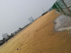 -碧海金沙
