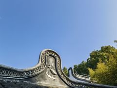 -上海醉白池公园