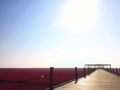 -红海滩国家风景廊道
