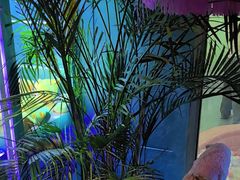 -CIAO·团建聚餐·生日派对轰趴馆(福田店)