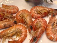 九节虾-海通1号(梅峰店)