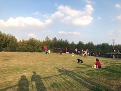 -栖露营camping·天幕烧烤·团建拓展·采摘营地