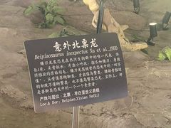 -辽宁古生物博物馆
