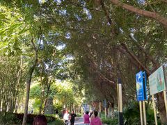 -艾薯夫妇Aysh(福田星河COCOPark店)