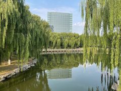 -大兴滨河森林公园