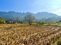 -黟县屏山村
