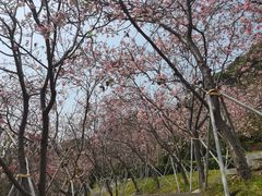 -小南山公园