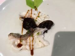 -诺莱仕游艇会