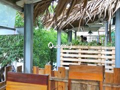 -Rainforest