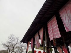 -田园东方蜜桃村的田野营地