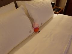 -惠州康帝国际酒店