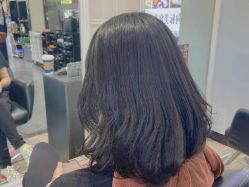 -风向标WIND VANE SALON