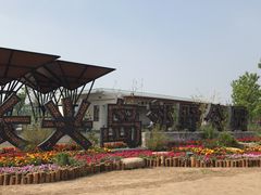 -上海长兴岛郊野公园