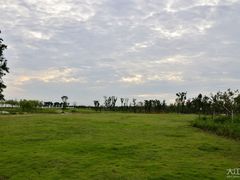 -瑶湖郊野森林公园