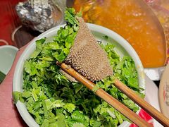 -袁老四火锅(金钟精英城店)