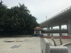 -演武大桥观景平台