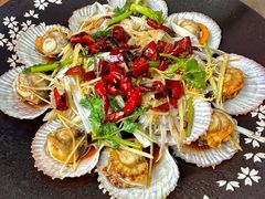 油泼扇贝-鲁前海沿儿