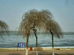 -丁香湖公园