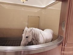 -海澜飞马水城
