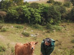 -大姆山草场