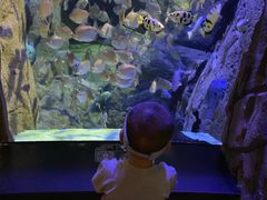 -成都浩海立方海洋公园