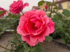 -重八牛府(花乡奥莱店)